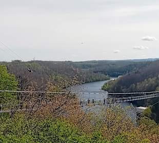 Blick zur Hängebrücke