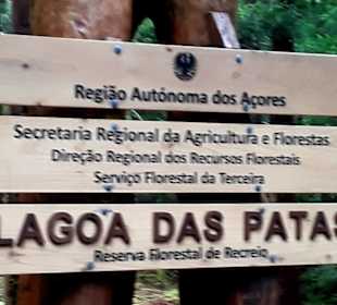 Inselrundfahrt Terceira