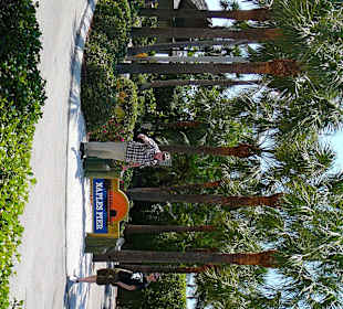   Naples Pier