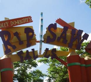 Eingang Rip saw falls