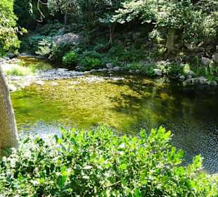 Impressionen von einer Wanderung an der Massane