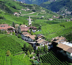 Blick aus der Seilbahn auf die Hänge des Ritten