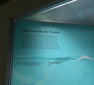 Fische