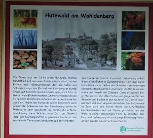 Tafel zum Hutewald