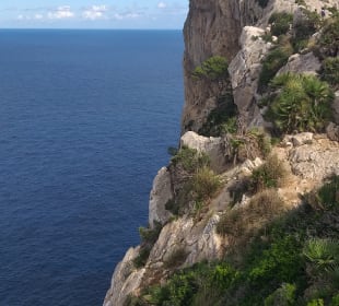 Wandern Can Picafort