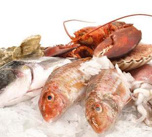 Frischfisch- Dekoration