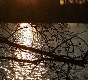  Donauinsel im Februar