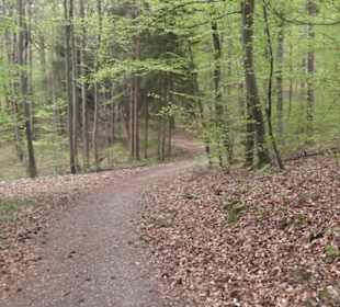 Wanderweg Firstwaldrunde