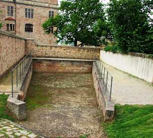 Die Pferdeschwemme