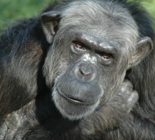 Spass in Zoo
