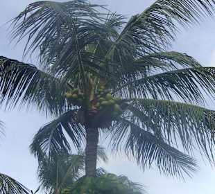 Impressionen aus Bali