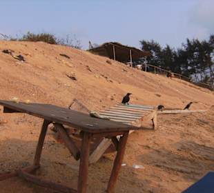 Der Strand hinter den liegen beim Hotel