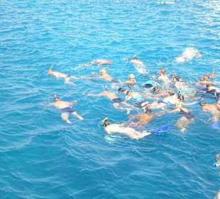 Schnorcheltour mit Sky Aqua Center