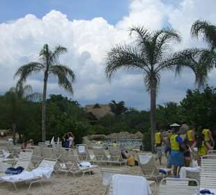 Der künstlich angelegte Strand von Discovery Cove