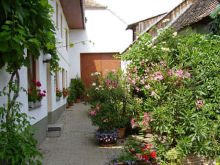 Winzerhof Fleischmann