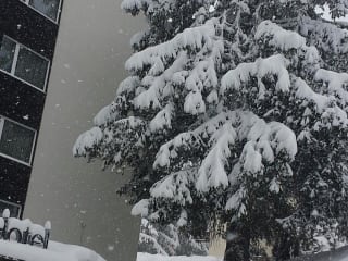 Sunstar Alpine Familienhotel Davos (geschlossen)