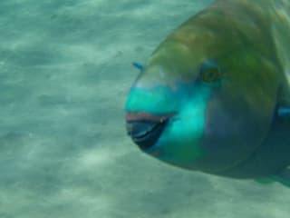 Jahn Reisen Bei Holidaycheck Erfahrungen Und Angebote