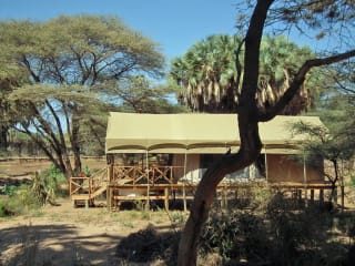 Elephant Bedroom