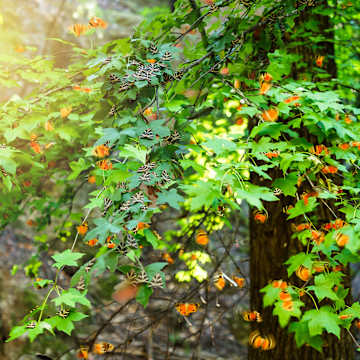 Familienabenteuer auf Rhodos – Die fünf schönsten Ausflugsziele mit dem Mietwagen