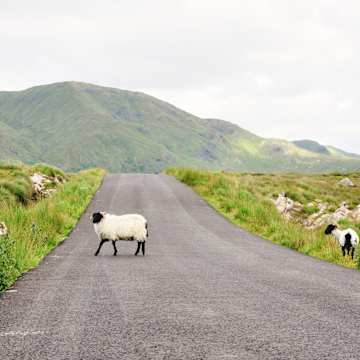 Linksverkehr mit Mietwagen – Eine spannende Reise durch Irland