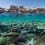 Unterwasserwelt im Roten Meer, Dahab, Ägypten