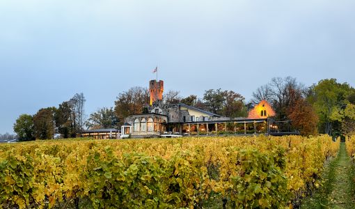 Relais & Châteaux Parkresidenz Hotel Burg Schwarzenstein