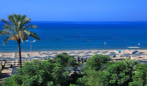 Club Cactus Paradise