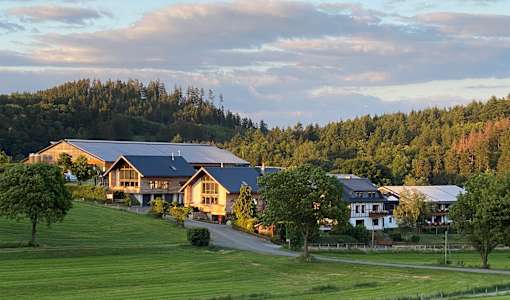 Ferienhof & Camping Zur Hasenkammer