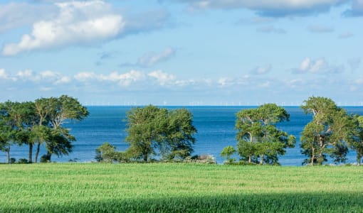 Ferienbauernhof Liesenberg mit Meerblick