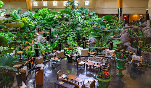 Hotel Grand Hyatt Dubai