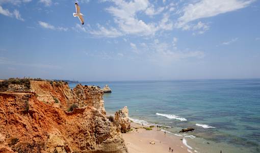 Turim Presidente Hotel