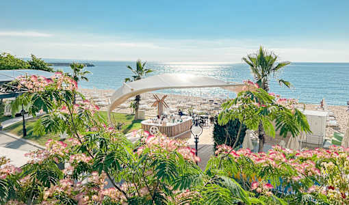 Sentido Marea