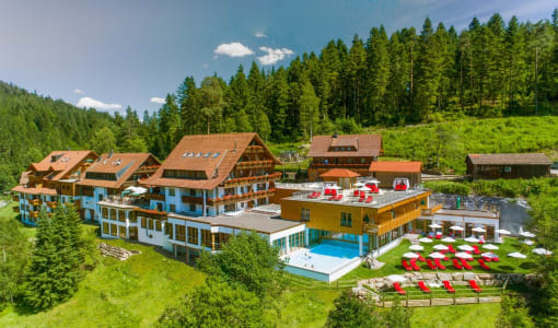 Wellnesshotel Forsthaus Auerhahn