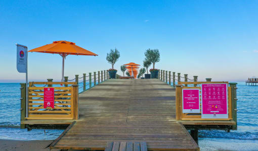 Arum Barut Collection