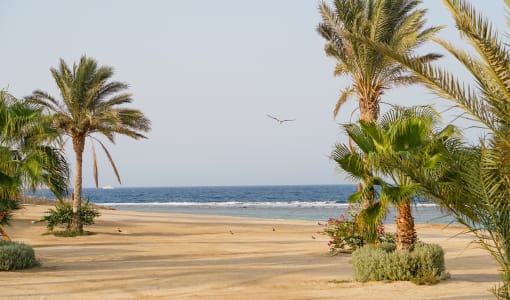Wadi Lahmy Azur Resort