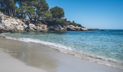 Iberostar Waves Pinos Park