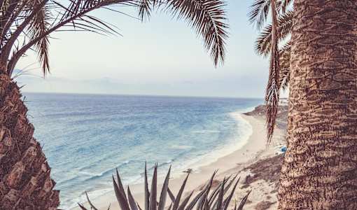 ROBINSON ESQUINZO PLAYA