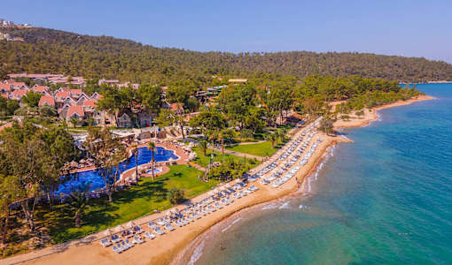 Long Beach Club Nature