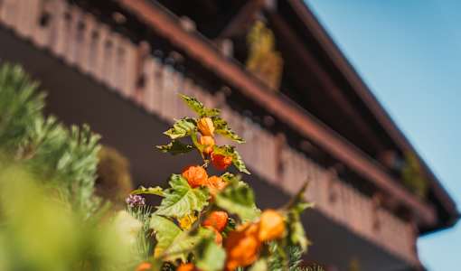Ermitage Wellness- & Spa-Hotel