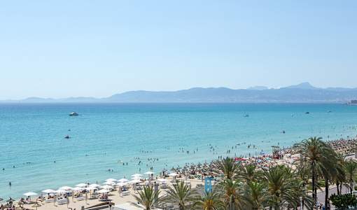 Myseahouse Flamingo - Adults only