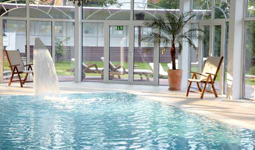 Das Palmenwald Schwarzwald, BW Signature Collection