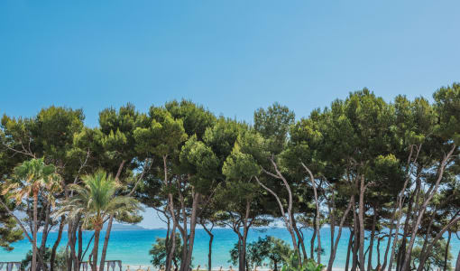 Iberostar Waves Playa de Muro