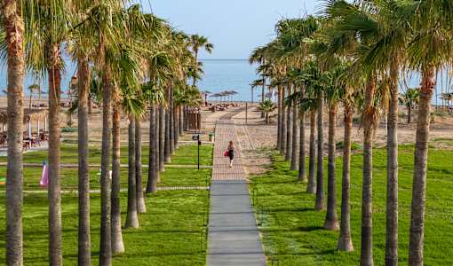 Delfina Tropic Beach