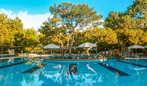 Crystal Prestige Pearl Collection