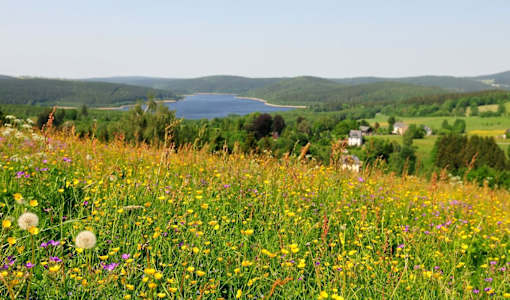 Hotel Am Bühl