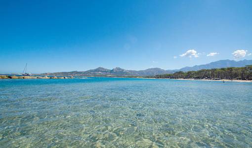 Feriendorf Zum Störrischen Esel