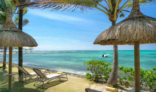 Tropical Attitude - Adults only