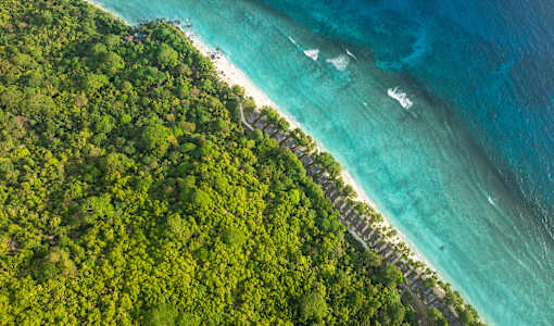 Niva Labriz Seychelles