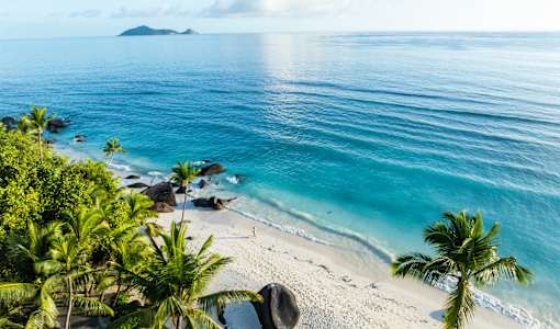 Niva Labriz Seychelles