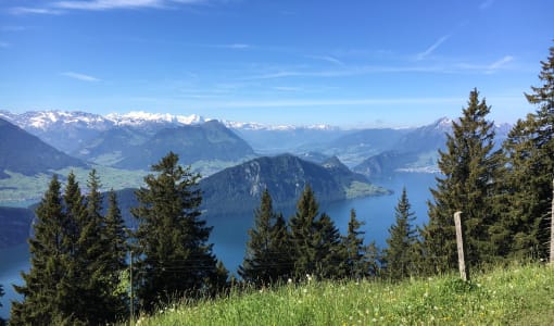 Rigi Kaltbad Swiss Quality Hotel